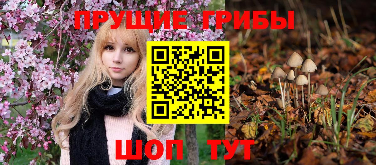 Псилоцибиновые грибы Magic Shrooms Тулун