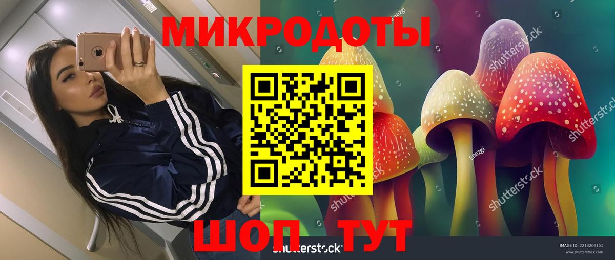 Псилоцибиновые грибы мицелий  Псилоцибиновые грибы MAGIC MUSHROOMS  где купить наркоту  Тулун  Вход с VPN 